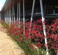 BiteZ - Hotel Accommodation