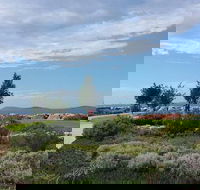 Coffee Cat - Hotel Accommodation