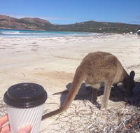 Lucky Bean - Hotel Accommodation