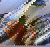 The Strand Byford Lakeside Restaurant  Cafe - Hotel Accommodation