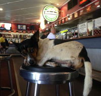 Dampier Mermaid - Hotel Accommodation