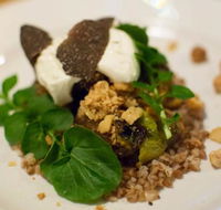 Foragers - Hotel Accommodation