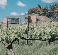 Green Door Winery  Cafe - Hotel Accommodation