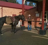 Premier Hotel - Hotel Accommodation