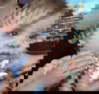 Rose's Bakery - Hotel Accommodation