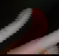 The Roast N Grill Cafe - Hotel Accommodation