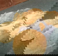 The Taj Restaurant - Hotel Accommodation