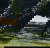 Footprints - Hotel Accommodation