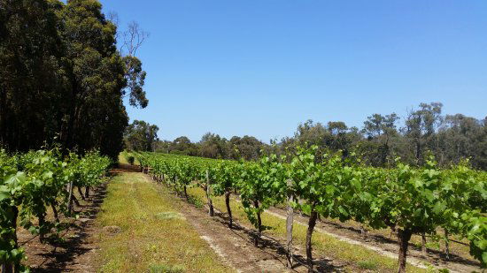 Lower Chittering WA Hotel Accommodation