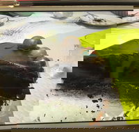 Baker Bear's Bakery - Hotel Accommodation