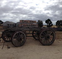 Emu Bay Lavender - Hotel Accommodation