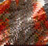 Jannah Charcoal Chicken - Hotel Accommodation