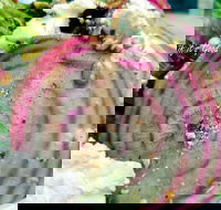 Thunderbird Kitchen - Hotel Accommodation