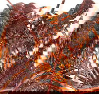 Sails Restaurant - Hotel Accommodation