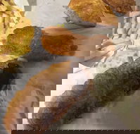 Highland Seafood - Hotel Accommodation