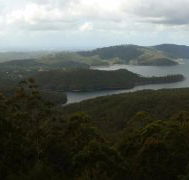 Lower Beechmont Kitchen - Hotel Accommodation