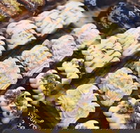 Butcher Baker Coffeemaker - Hotel Accommodation