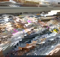 Maleny Seafoods - Hotel Accommodation