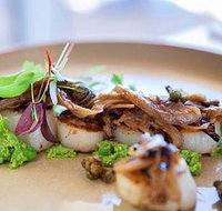 Kiwi Style Fish And Chips - Hotel Accommodation