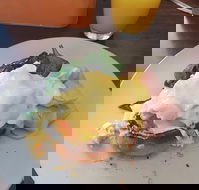 Stock Bar  Grill - Hotel Accommodation