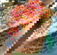 Brew  Scoop - Hotel Accommodation