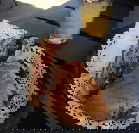 Clove Licensed Restaurant - Hotel Accommodation