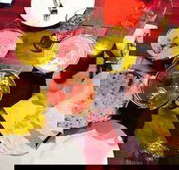 Gatton Indian Restaurant - Hotel Accommodation