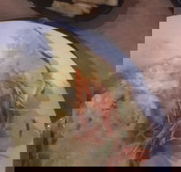 Mount Isa Irish Club - Hotel Accommodation