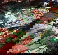 Hotel Settlers - Hotel Accommodation