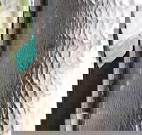 Hotel Tully - Hotel Accommodation