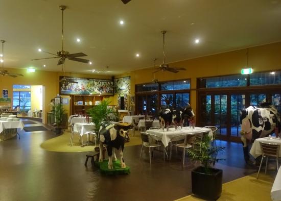 North Johnstone QLD Hotel Accommodation