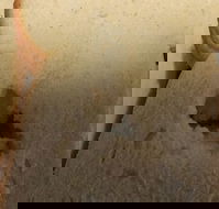 Sugarloaf Baking Co - Hotel Accommodation