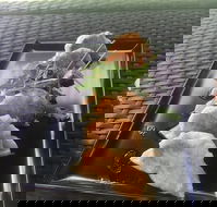 Three Black Sheep Cafe - Hotel Accommodation