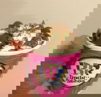 Baskin Robbins Toowoomba - Hotel Accommodation