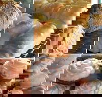 Elegant Emu - Hotel Accommodation