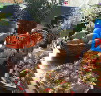 Island fruit Barn - Hotel Accommodation