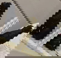 My Home - Hotel Accommodation