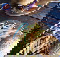 O'Reilly's Rainforest Retreat Dining Room - Hotel Accommodation