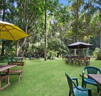 Rainforest - Hotel Accommodation