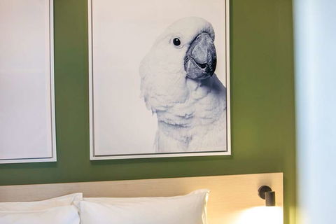 Nightcap At Exeter Hotel - Hotel Accommodation 8