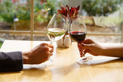 Best Western Plus Hovell Tree Inn - Hotel Accommodation 9