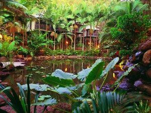 Daintree Eco Lodge & Spa - Hotel Accommodation 0