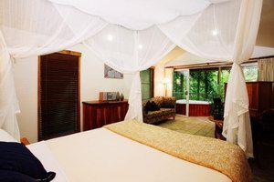 Daintree Eco Lodge & Spa - Hotel Accommodation 1