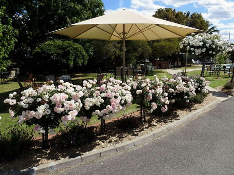 Wine Village Motor Inn - Hotel Accommodation 1