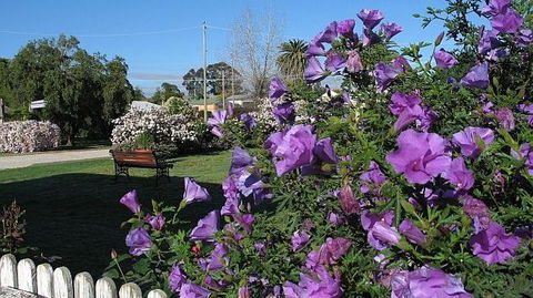 Wine Village Motor Inn - Hotel Accommodation 15