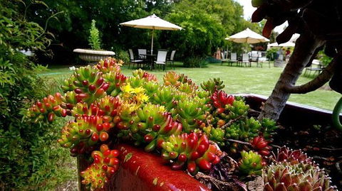 Wine Village Motor Inn - Hotel Accommodation 17