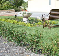 SureStay by BW The Clarence on Melville - Hotel Accommodation