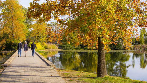 Crowne Plaza Canberra - Hotel Accommodation 17