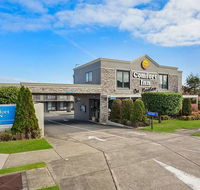 Comfort Inn on Raglan - Hotel Accommodation