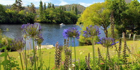 Woodbridge on the Derwent - Hotel Accommodation 3